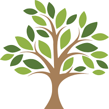 Content Marketing tree