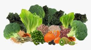 A plant-based diets for kids focuses on foods derived from plants while minimizing or eliminating animal products.